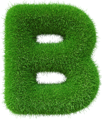 Grass font  B letter Green