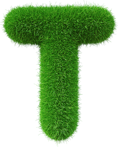 Grass font  T letter Green